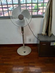 Blk 281 Bishan Street 24 (Bishan), HDB 4 Rooms #628419031